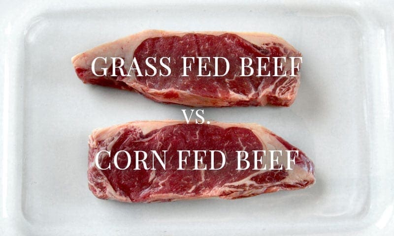 Grass Fed Beef vs. Corn Fed Beef