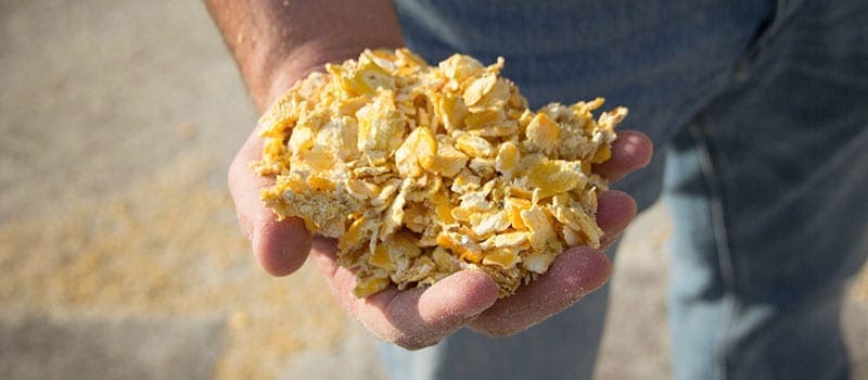 All-Natural, Grass Fed and Corn Fed – What Does it Mean?