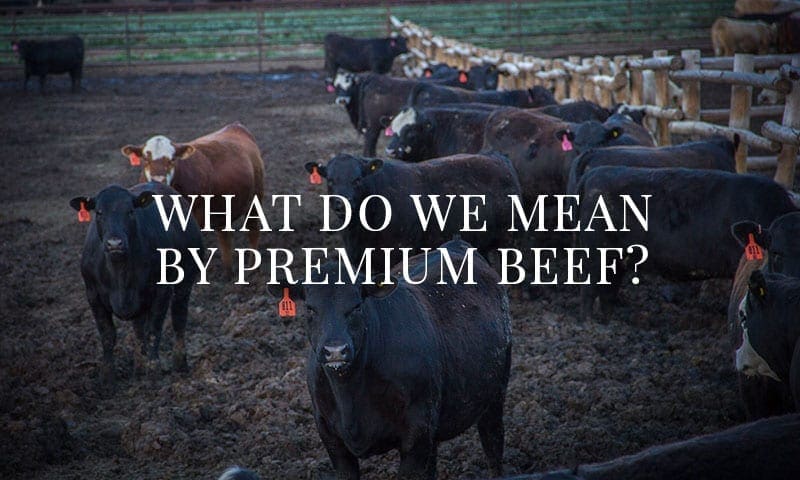 What Do We Mean by Premium Beef?
